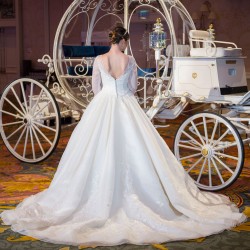 Cinderella Wedding Planner