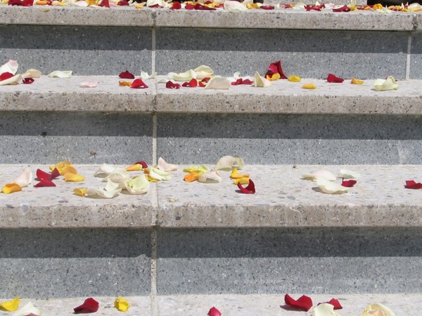 Bellas Hochzeitsservice