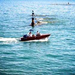 Elegant Weddings & Events