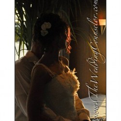 The Wedding Counselor