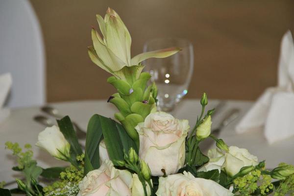 Vierländer landhaus