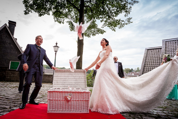 Lichtreim Photography