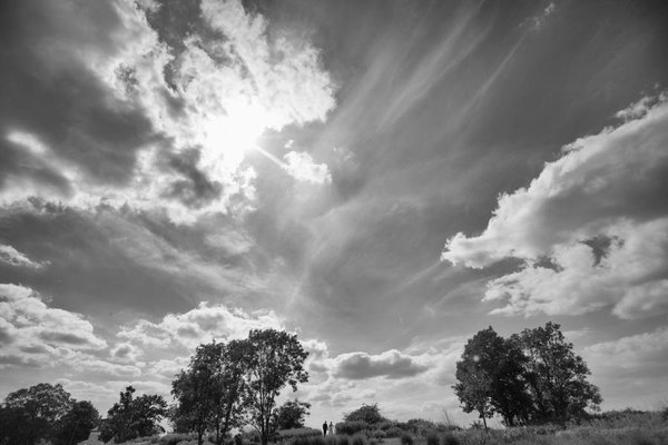 moodshots Fotografie