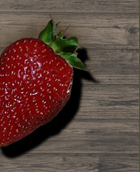 HOCH'zeit Eventagentur