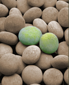 HOCH'zeit Eventagentur