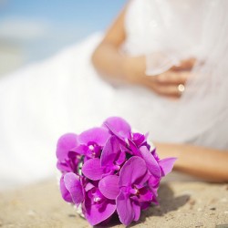 Sophie Gerner Photography