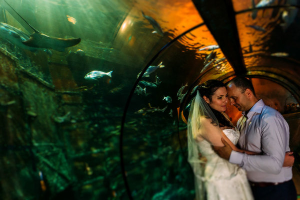 Chris Yeo - Photographer