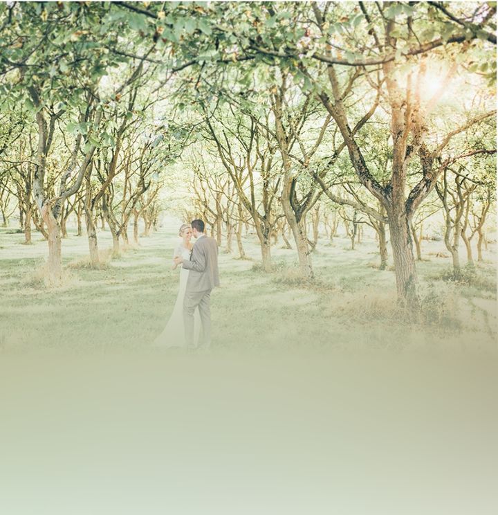 Vicky Baumann Photography