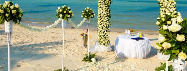 HOCHZEITS erlebnisse