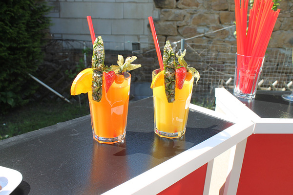 Hochzeitsplanung Perfect Day