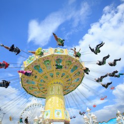 Paul Wachowski Photography