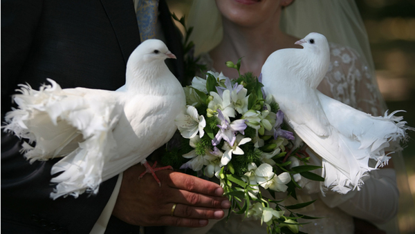 Hochzeitsplaner Oldenburg