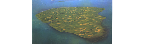 Hochzeitsagentur Friesen-Art