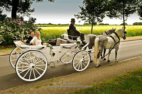 DER BREMER HOCHZEITSFOTOGRAF