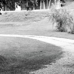 WEDDING & EVENT Moments