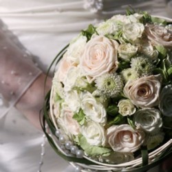 Contigo Hochzeiten Ehrenfeld