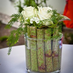 Die-FesteMacher-Hamburg