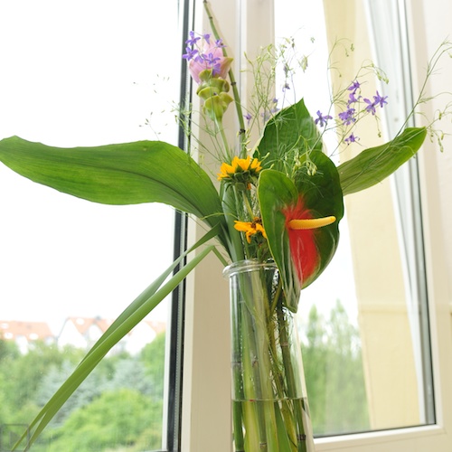 Rieck’s Feste mit Biss