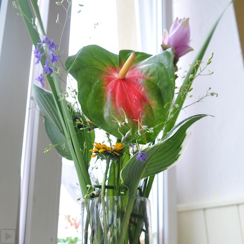 Rieck’s Feste mit Biss