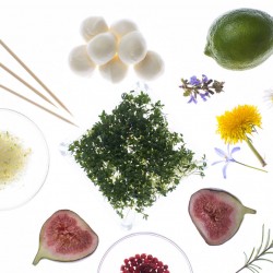 KAISERSCHOTE Feinkost Catering GmbH