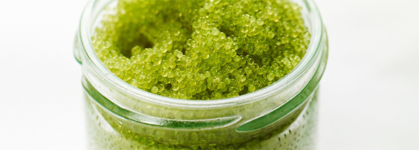 cölncuisine catering