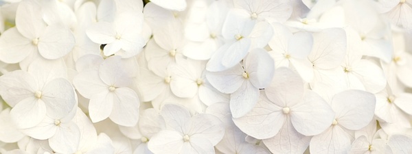 MIRJAM HEUBACH - FREUDENFEUER HOCHZEITEN