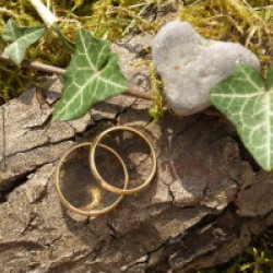 Hochzeits- und Eventplanung Daniela Schönbauer