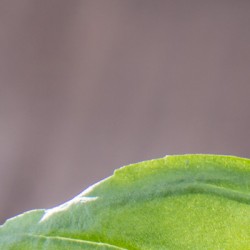 EUREST DEUTSCHLAND GmbH