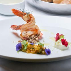 Hyatt Catering Hamburg