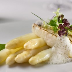 Hyatt Catering Hamburg