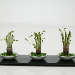 Der Blaue Hummer Eventcatering Hamburg