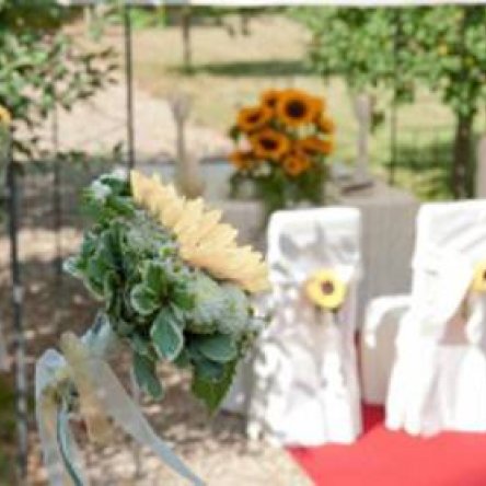 Freie Trauung Berlin