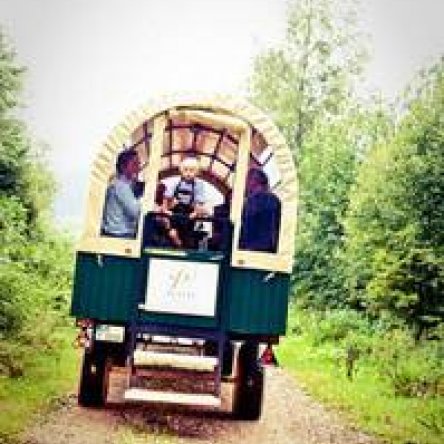 Freie Trauung Berlin