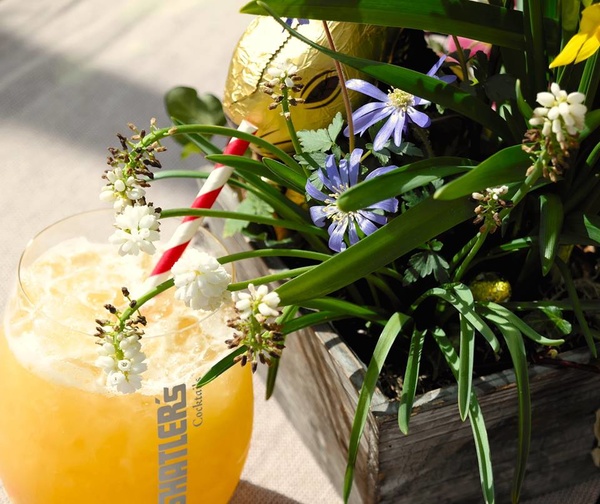 SHATLER’s Getränke