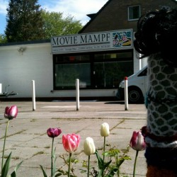 MOVIE MAMPF Catering