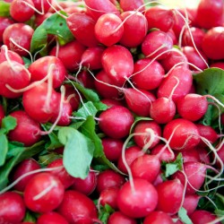 Silberlöffel Event Catering Service