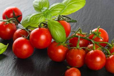 Die Tomate finger-food-catering