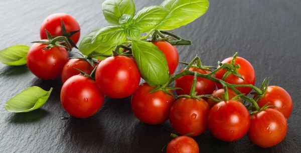 Die Tomate finger-food-catering