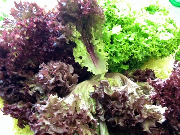 Baronesse Catering und Events