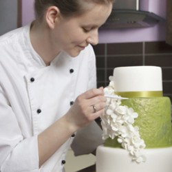 The Tiny Cake Boutique