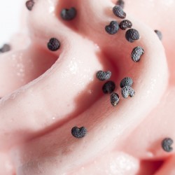 Tigertörtchen Berlin Cupcakes