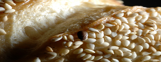 Bäckerei & Konditorei Fahland