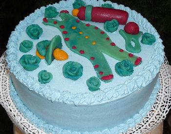 Nicos Süßes Atelier