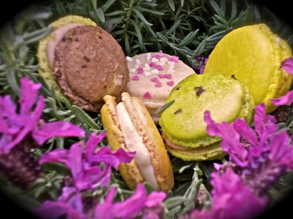 Weiler´s Patisserie