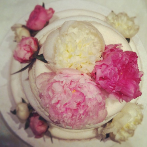 Dutz Bäckerei Konditorei