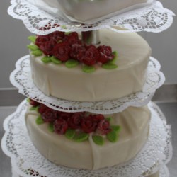 WAS DAS HERZ BEGEHRT