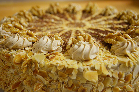 Schmitz + Nittenwilm OHG