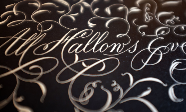 Federflug :: Kalligrafie & Design