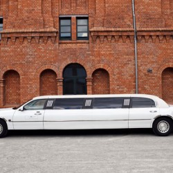 City-Limos