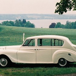 Dream Weddings International